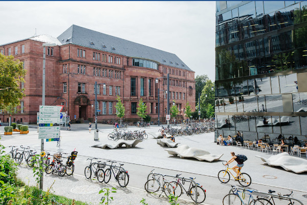 Albert Ludwig University of Freiburg